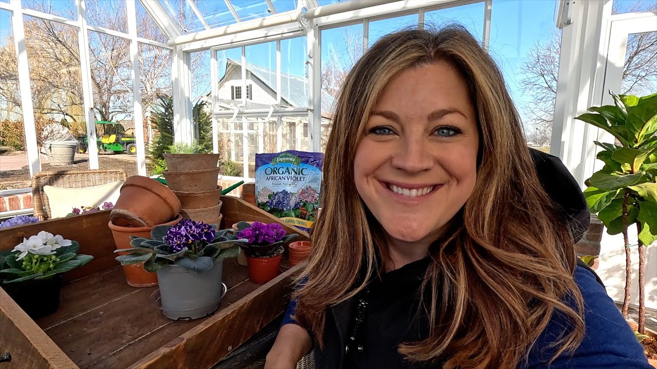 Пересадка африканских фиалок + советы по уходу и размножению! 🪴😍 // Garden Answer