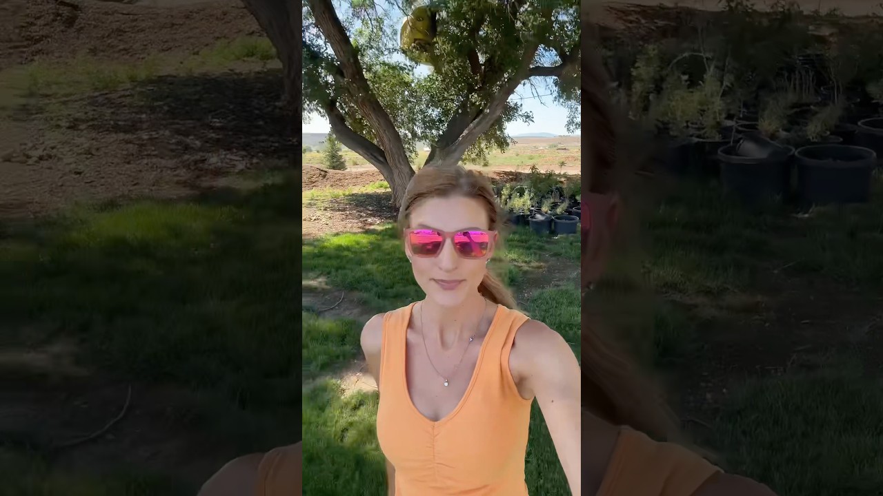 Lesson learned for these campers! 