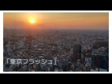 東京フラッシュ／弾き語りcover