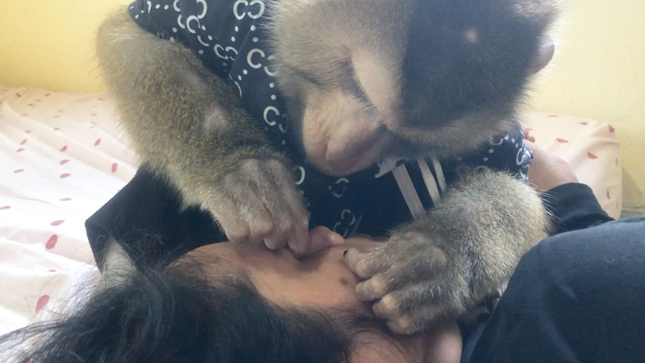 Good Boy Jason Jaw Drop Grooming Under Eye To Remove Freckles