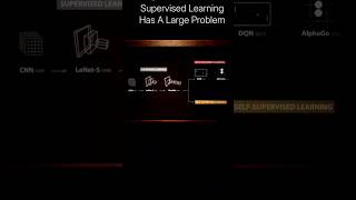 Supervised learning had a large problem