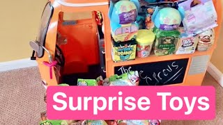 Buying EVERY Surprise Toy from the Store!🛍😍