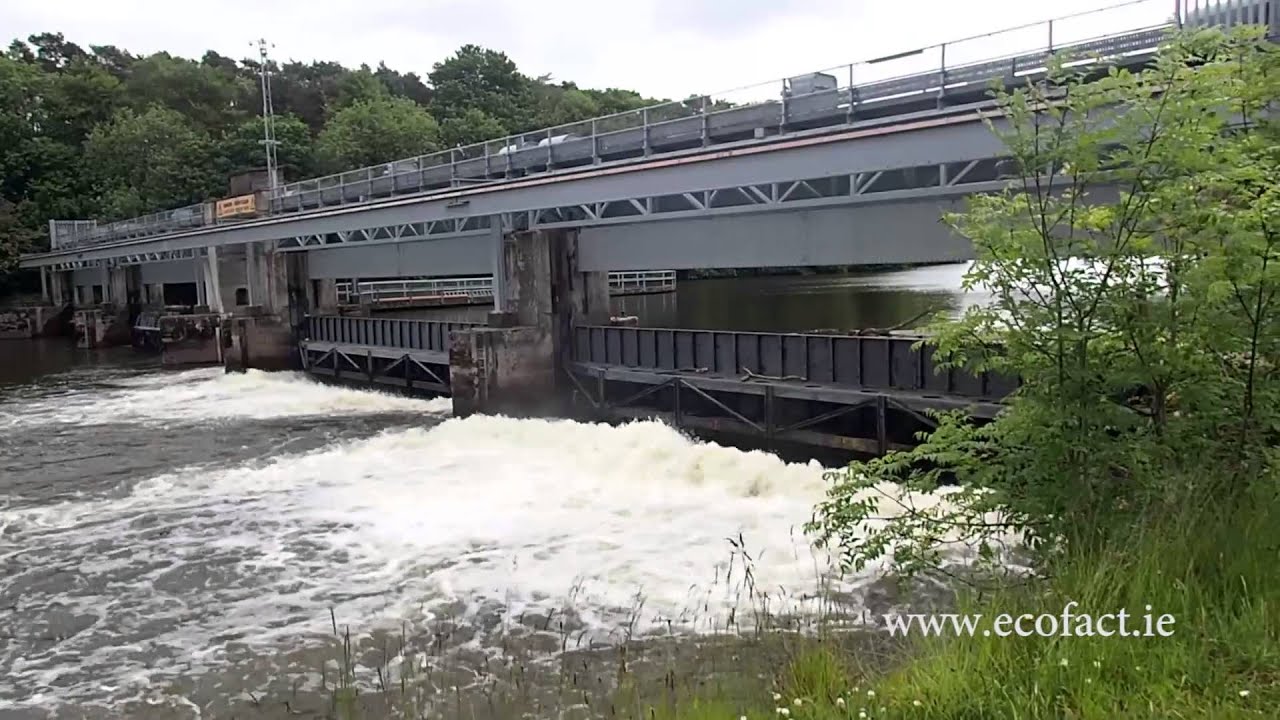 Lower River Bann, Portna Gates, June 2015