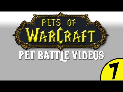 MoP BETA 5.05 Warcraft PetsOfWarCraft Video 07 - The Randomization of Pet Stats.