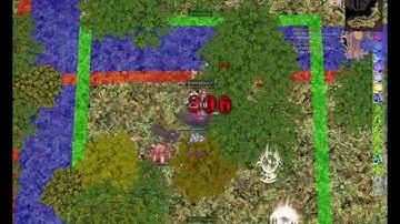 SimpleROHook Version 1.1 [RCX] for Renewal (iRO/jRO/bRO) by HayROh