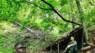 🇹🇷 BUSHCRAFT CAMPİNG ORMANDA KAMP İLKEL BARINAK YAPIMI 🐍YILANLA  GÖZ GÖZE GELDİM CAMPİNG