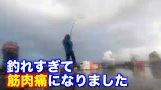 5m70cmの竿がしなる！離島の魚の引きが強すぎた…
