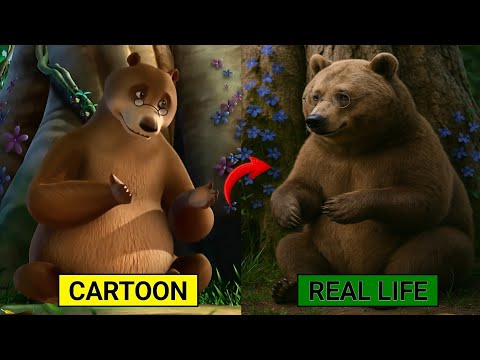 The Jungle Book Characters In Real Life Mowgli Baloo Sher Khan Bagheera Kaa 