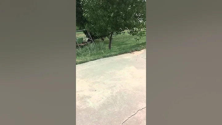 Sorrells' Rebel fetching ball.