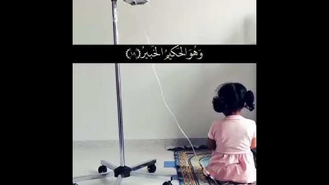 قرآن كريم بصوت عبدالله الموسي 💌🔊 أجمل حالات واتس اب دينية مقاطع دينية قصيرة مقاطع انستقرام دينية