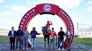20260816 Chinese-Bred Thoroughbred 3YO+ 2000m (Race 6)