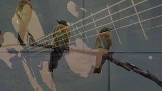 Graude - James Filkins