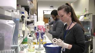 Cardiovascular Research at LSU Health Shreveport