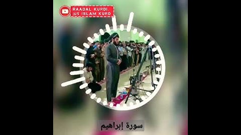 Raad Al kurdi القارئ رعد الكردي حالات وتس آب ماتيسر من سورة إبراهيم