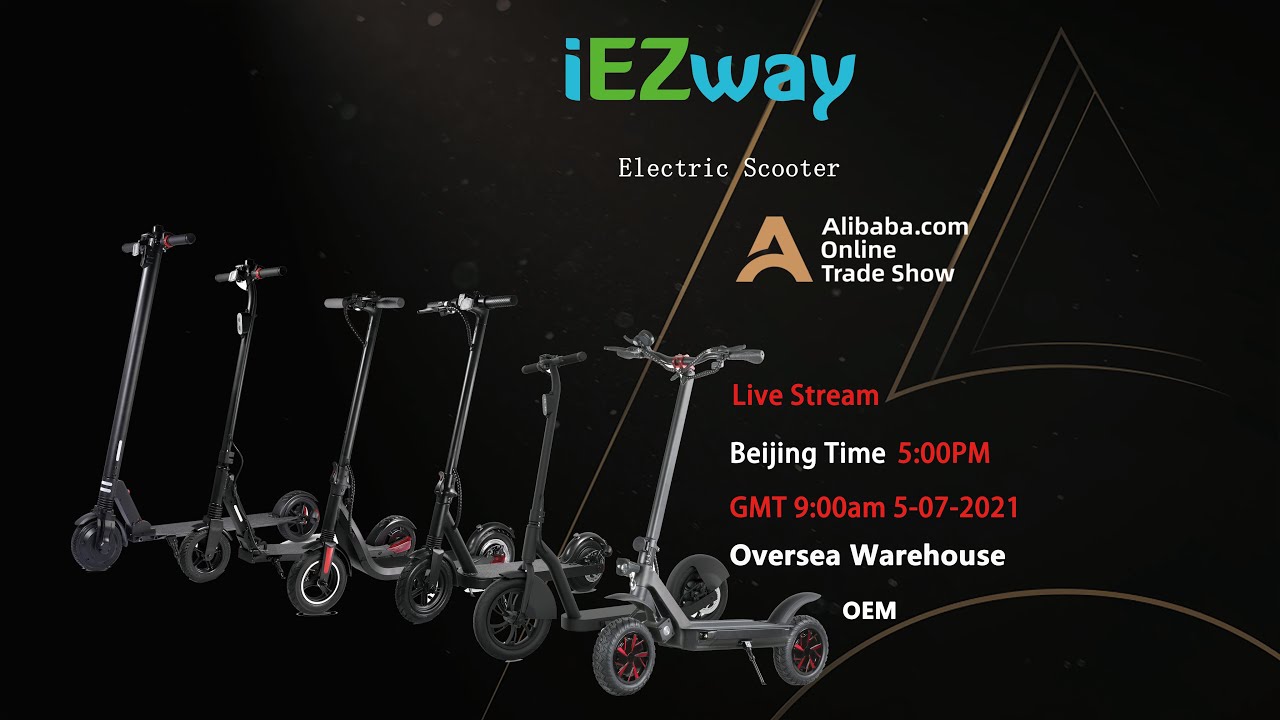 iEZway Electric Scooter