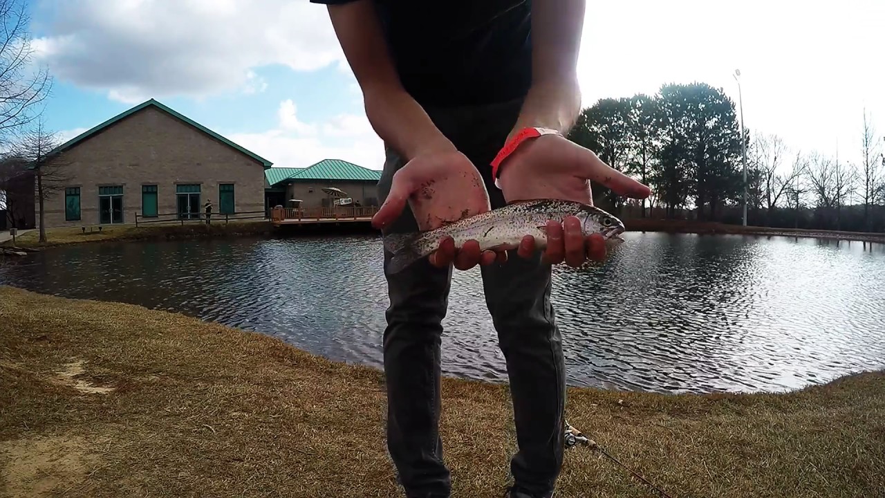 Athens Fish Hatchery YouTube