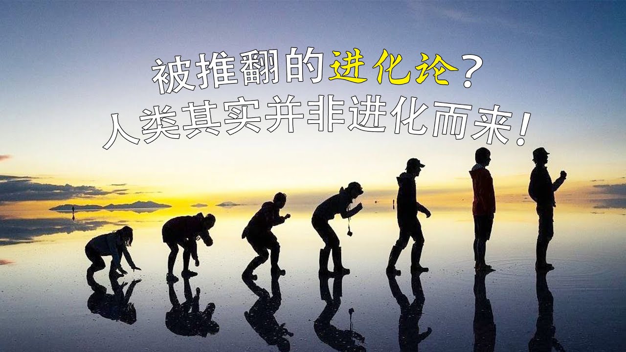 被推翻的进化论?人类其实并非进化而来! - YouTube