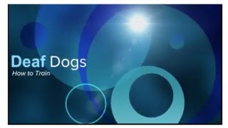 Training a Deaf Dog with Vibration Collar