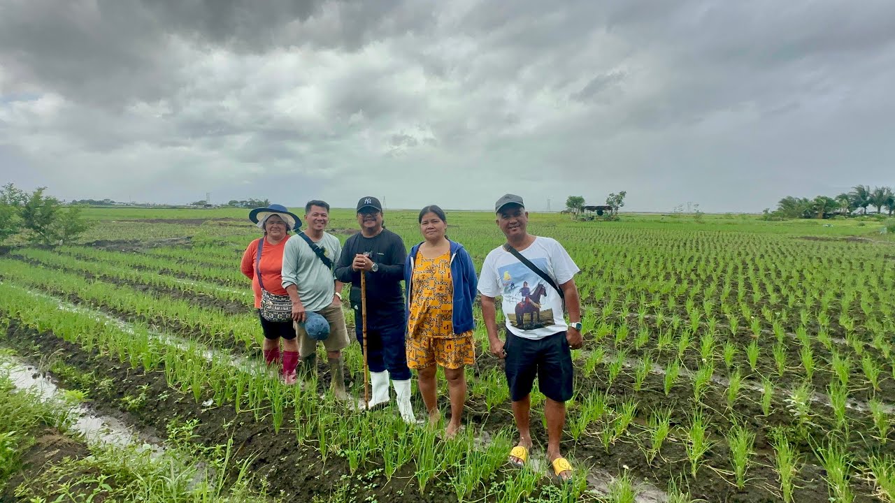 Dahil Malaki ang Kita, Grupo ng mga Spring Onion Farmers, Nakapagpatapos ng mga Anak sa College!