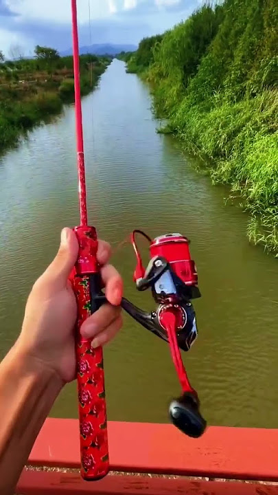 Cần câu lure 2 khúc UL 1,2m câu lure cá lóc cảm giác 4-8kg #fishing #shorts