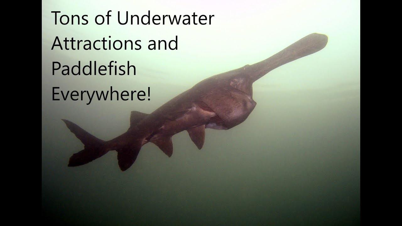 Mermet Springs, Belknap, IL