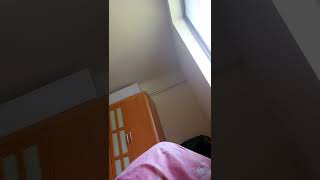 在橫科房間內