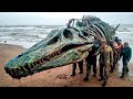 Il più grande fossile di mostro marino scoperto accidentalmente negli Stati Uniti