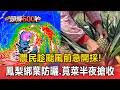 農民趁颱風前急開採！鳳梨綁葉防曬、菜農半夜三點搶收莧菜【頭條600秒】