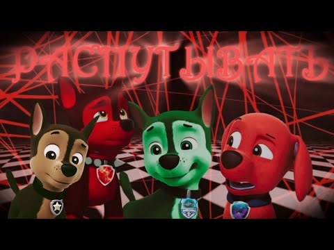 thumbnail img1x1