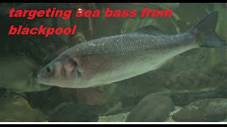 targeting bass from Blackpool's beaches