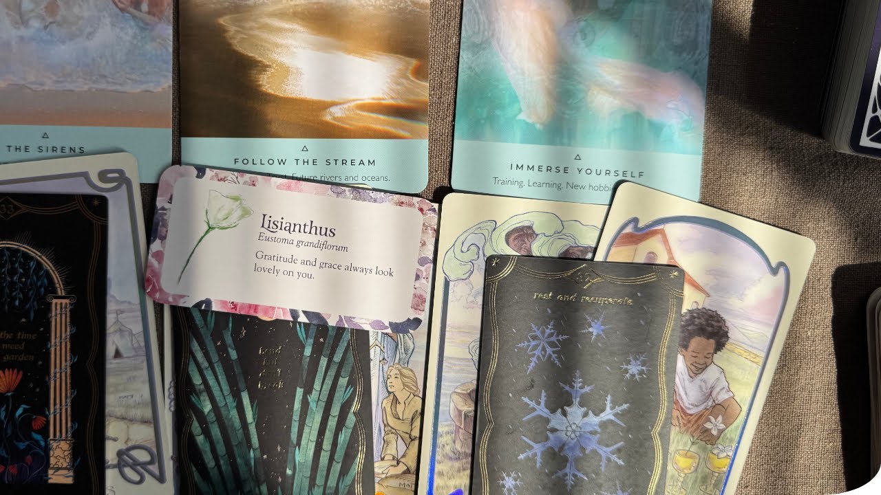 การวางใจใน 