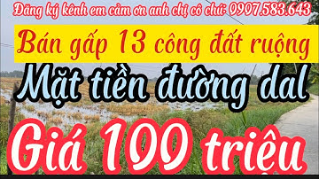 Kẹt tiền bán gấp 13 công đất ruộng mặt tiền đường dal giá ngộp 100 triệu /1000m2 Gò quao kiên Giang