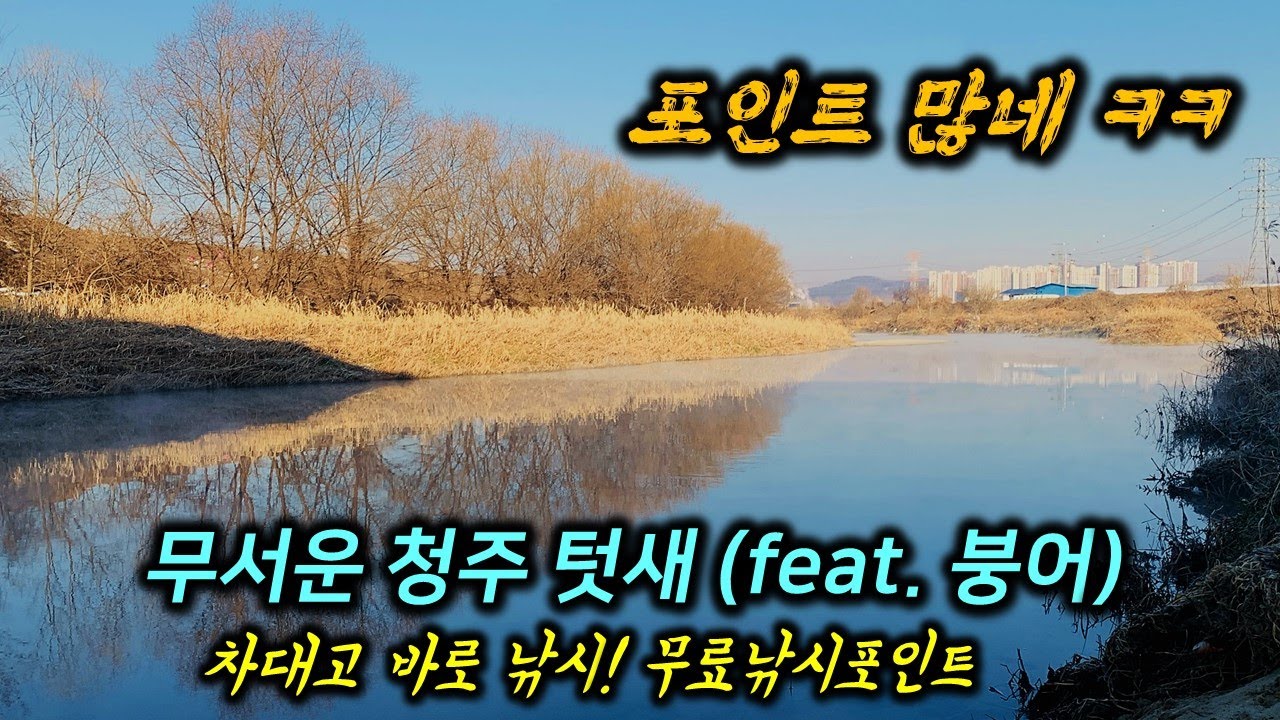 👍 낚시하다가 이런 텃새는 처음 당해보네요. 💯 차대고 바로 낚시터를 소개합니다. 🎣  /민물낚시 /붕어낚시 / 차대고바로낚시