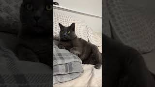 Fat bahby
