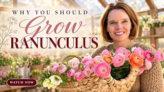 Why Ranunculus Are My #1 Must-Grow Flower & What You Need to Know Before Planting