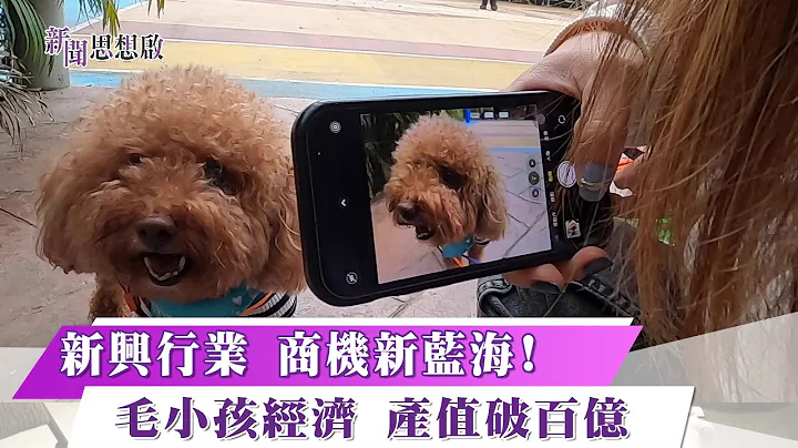 《新闻思想启》第62集-Part1 新兴行业 商机新蓝海!毛小孩经济 产值破百亿 - 天天要闻