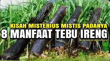 TEBU IRENG 8 MANFAAT YANG TERDAPAT DAN KISAH MISTERIUS MISTIS YANG MELEKAT PADANYA@HARLIE BROTHER