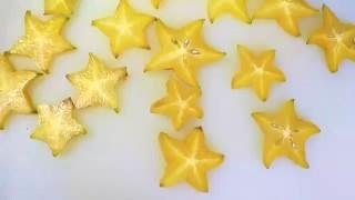 46. Hoppity Hop to Mainland Mexico