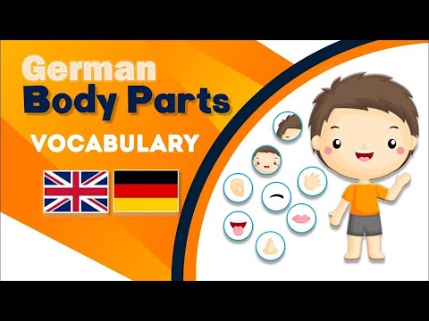 Body parts in German | die Körperteile | Deutsch Lernen - Learn German - your German Classroom