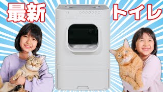 最新！！全自動猫トイレ購入！我が家の愛猫ルイとモカは新しいトイレを気に入ってくれるのか！？himawari-CH