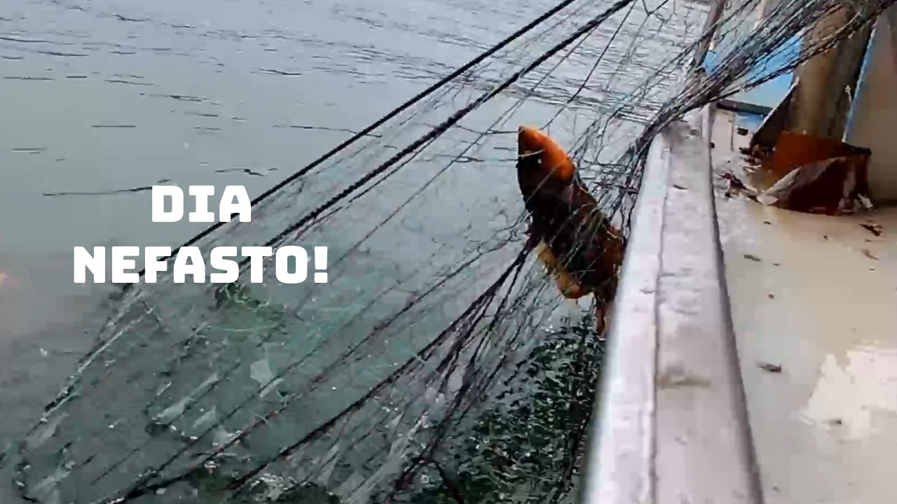 SALIMOS a PESCAR... y APENAS cubrimos GASTOS