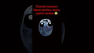Önünde Kocaman Köbek Olunca Benim ..........