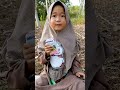 Minum susu sama sapi #shortsvideos #videoshorts