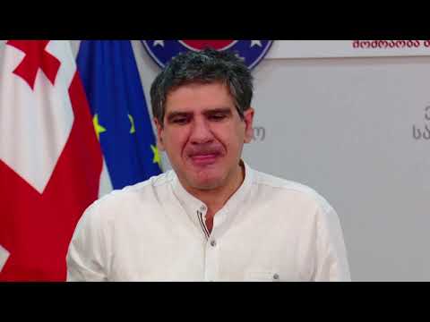 არავინ ეკითხდება ელისაშვულს და „გირჩის“ ნარჩენს, ვის მიავლენს \"ევროპული საქართველო\" მოლაპარაკებებზე“