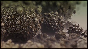 3D Fractal   Little Things