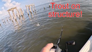 Summertime in Grand Isle - Speckled Trout Action is Hot at This spot!