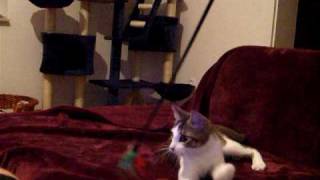 DSCF1702.AVI