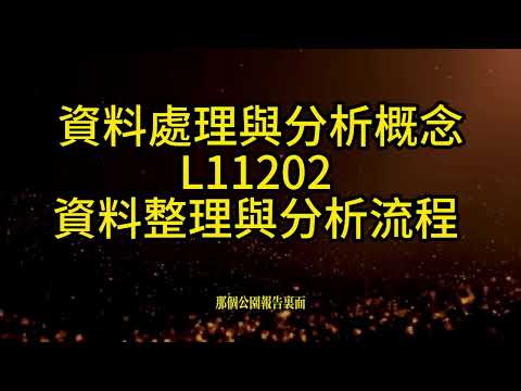 人工智慧基礎概論 L11202 資料整理與分析流程