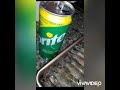 buttered shrimp sa sprite