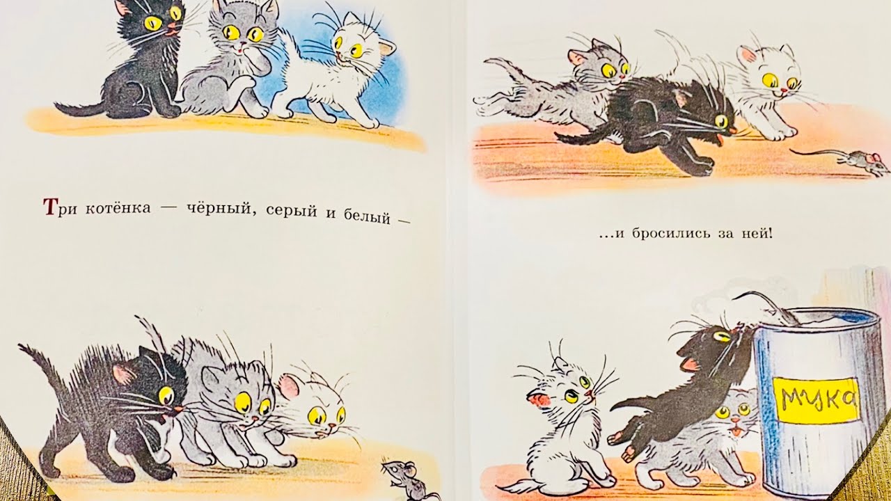 Сказка про трех котят белый серый и черный. Три котенка: сказка. Три котенка иллюстрации к сказке. Три котенка книжки мы не будем обижать .развивашки для детей.. Сказки про котят для детей